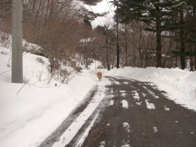 雪遊び二日目_f0118135_22212062.jpg