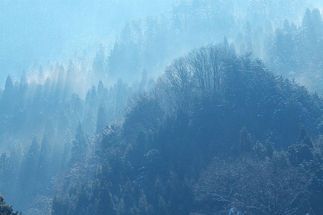 c0067040_22502691.jpg