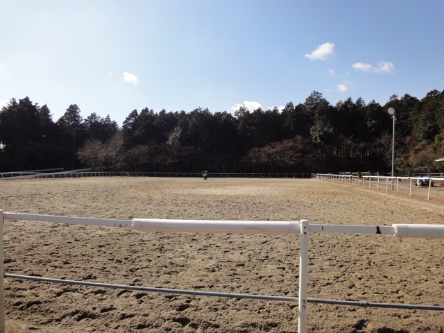 c0218443_21525928.jpg