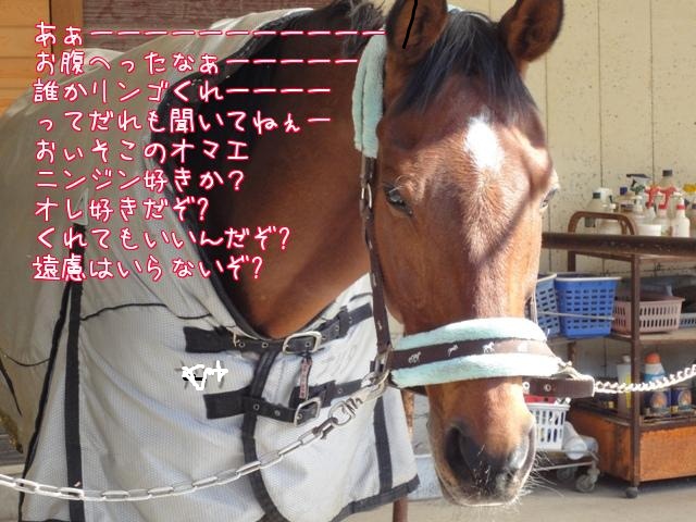 c0218443_22462762.jpg