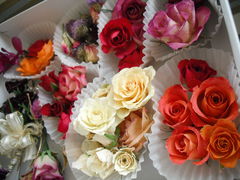 レッスン案内 ～レカンフラワーの作り方講座～ : Le Lotus ～レカン