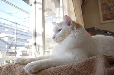 かみたいなあ・・・_a0028451_13544613.jpg