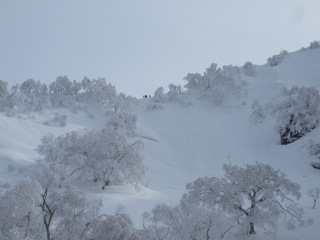 f0209354_1136423.jpg