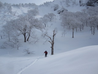 f0209354_11431049.jpg