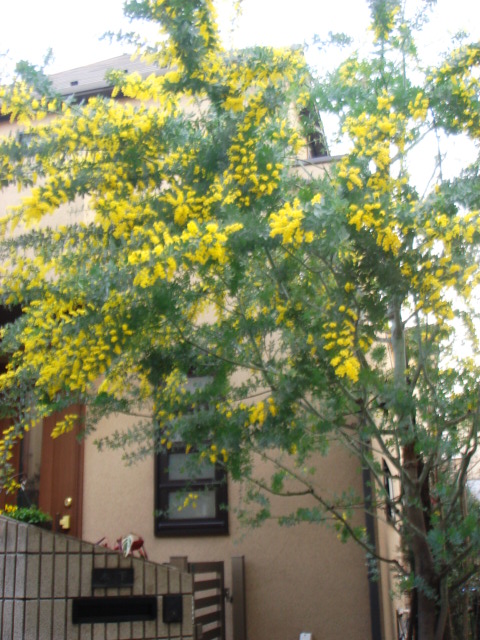 f0208355_836232.jpg