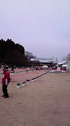 千葉国際クロスカントリー大会2010_f0036759_11541711.jpg