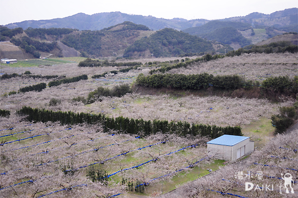 2010.02.14 Sun. みなべ・田辺_e0158261_6405752.jpg