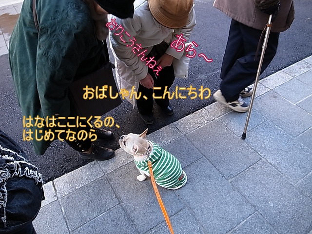 c0081363_05434.jpg