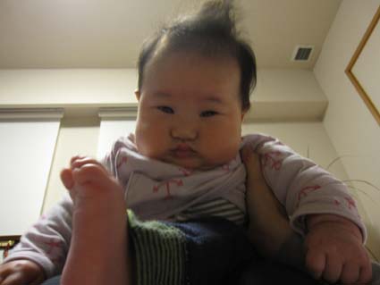 朝青龍 こゆいたんの毎日