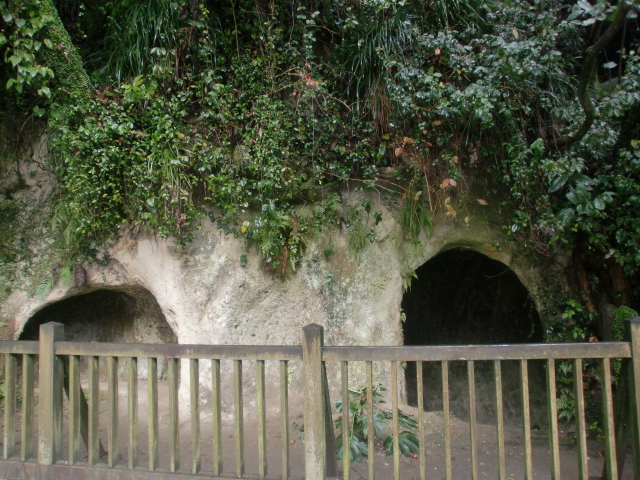 鹿児島＆天草への旅　鹿児島編_c0207868_2145491.jpg