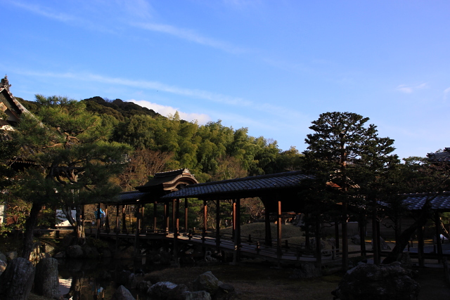 c0216179_04659.jpg