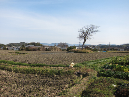 飛鳥の里〜_a0045381_8219100.jpg