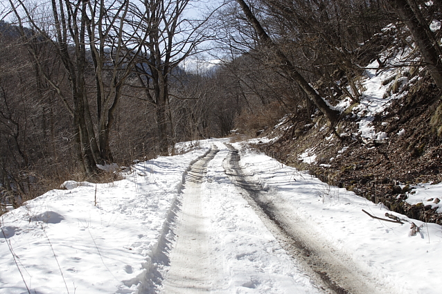 e0165983_1101431.jpg