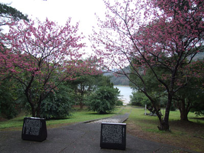 雨だけど、観光♪_e0028387_0122110.jpg