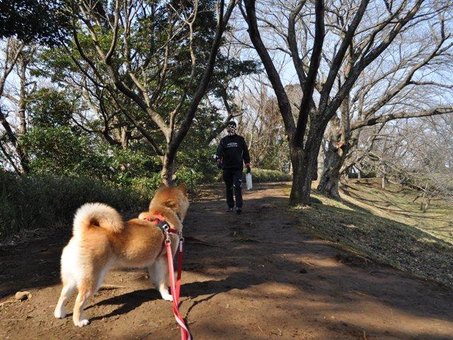 春の足音_a0126590_2341279.jpg