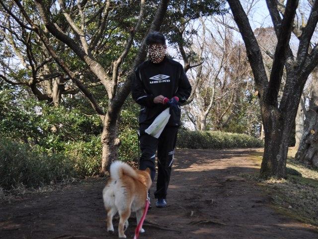 春の足音_a0126590_2341921.jpg