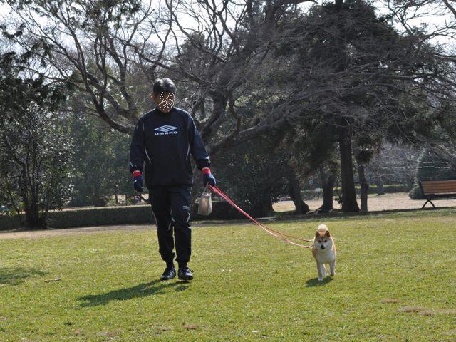 春の足音_a0126590_2393640.jpg