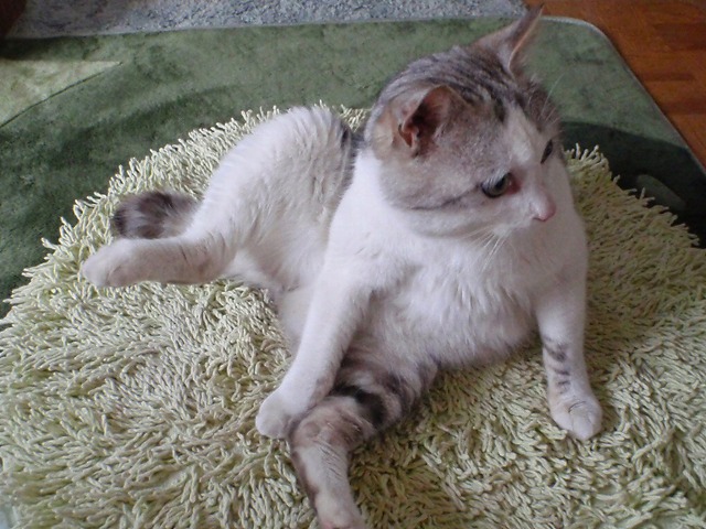 a0159490_13555667.jpg