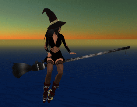 新たな挑戦_a0047491_511123.gif