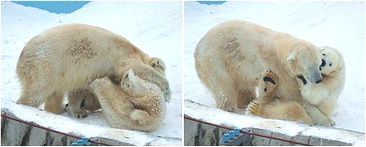 背中が寂しいぜぃ。_b0067302_0034.jpg