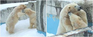 背中が寂しいぜぃ。_b0067302_23443497.jpg
