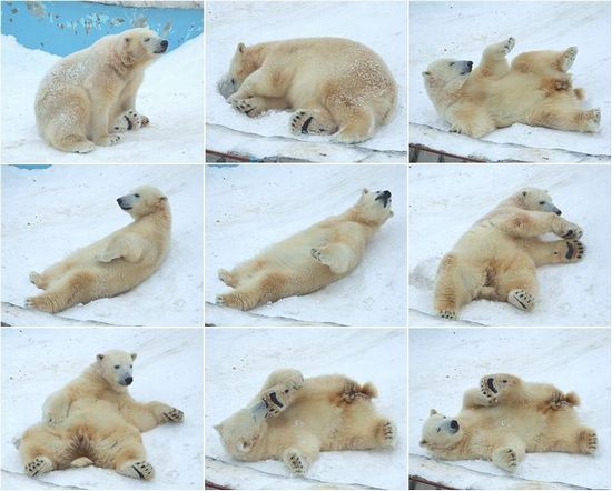 背中が寂しいぜぃ。_b0067302_23534463.jpg