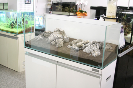 c0165807_004037.jpg