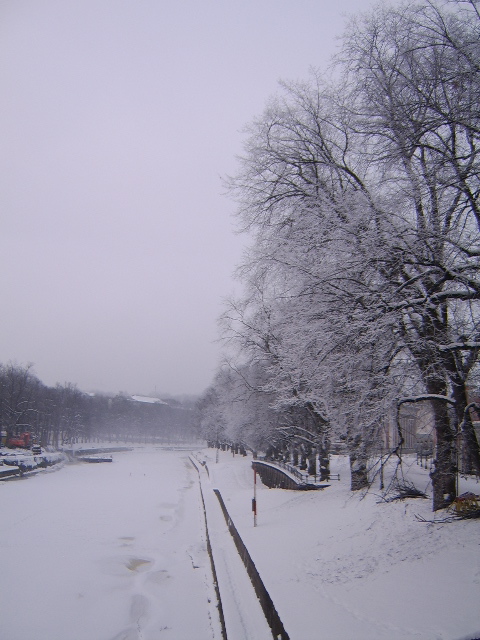 d0115609_4174424.jpg