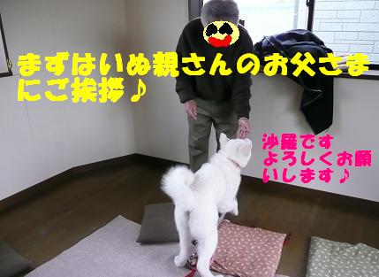 沙羅ちゃんの新しいお家を見学しました♪_f0121712_17342675.jpg