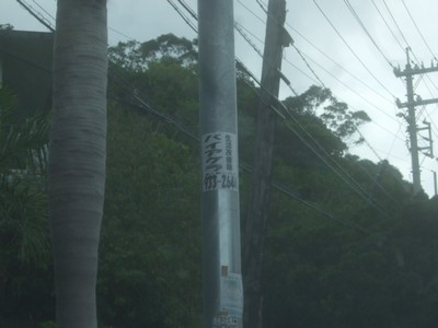 f0178416_975839.jpg