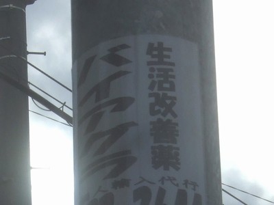 f0178416_992516.jpg