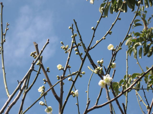 b0163121_7104385.jpg