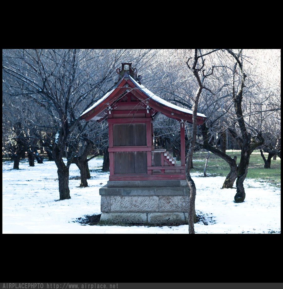 残雪の平林寺４_f0086721_20453638.jpg