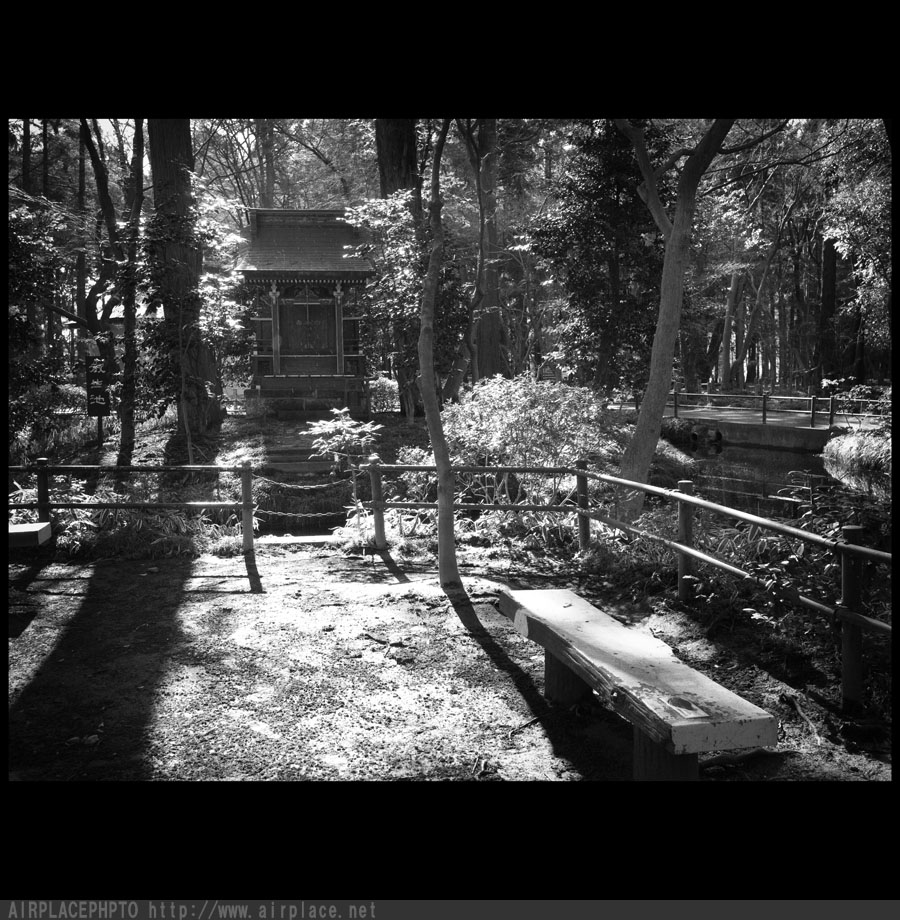 残雪の平林寺４_f0086721_20455460.jpg