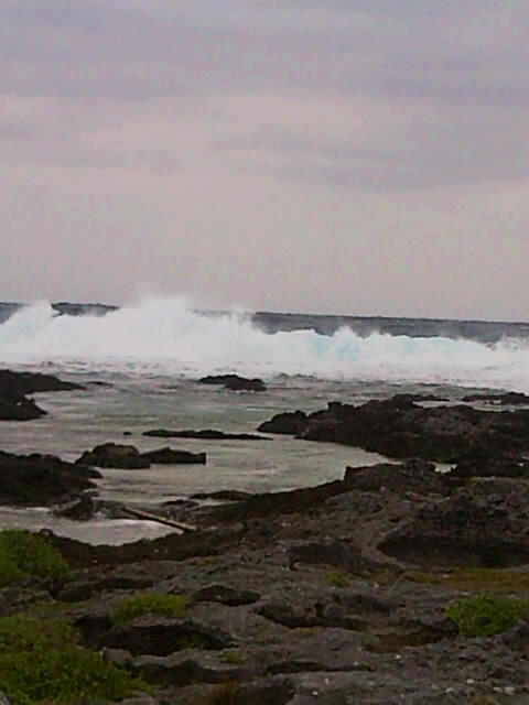 f0197325_14414913.jpg