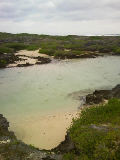 f0197325_1443732.jpg
