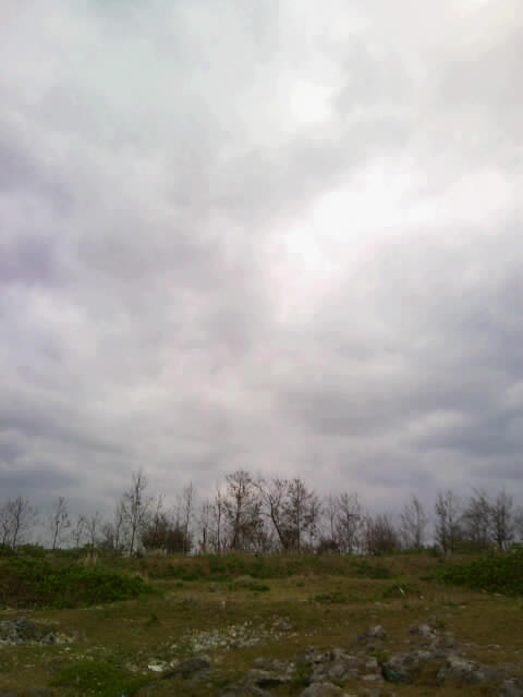 f0197325_14453583.jpg