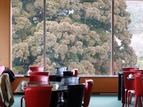 「箱根スイーツコレクション2010 成川美術館ティーラウンジ季節風」_a0000029_0135048.jpg