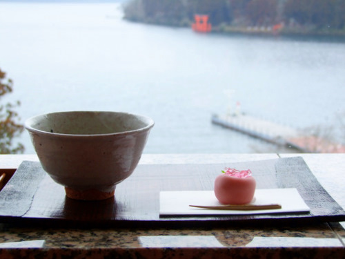 「箱根スイーツコレクション2010 成川美術館ティーラウンジ季節風」_a0000029_0164795.jpg