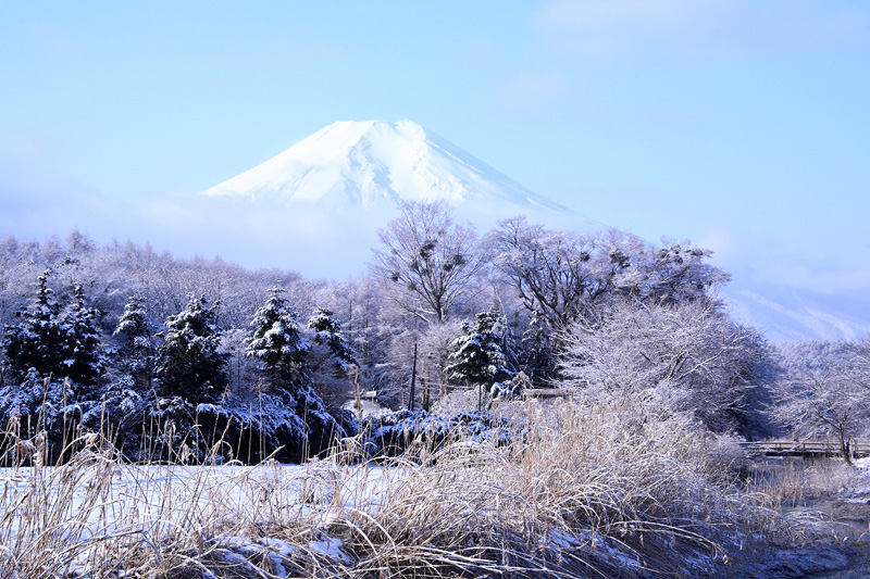 富士山に会いに～_e0025930_22531568.jpg