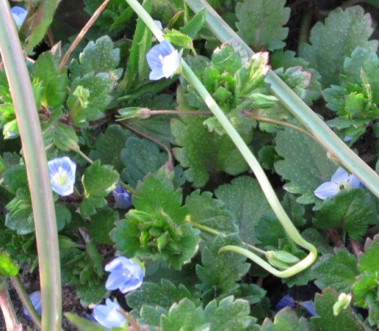e0172840_18284030.jpg