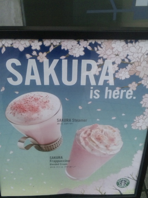 Starbucks SAKURA Promotion 2010_e0011143_0382792.jpg