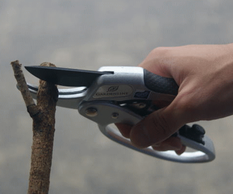 e0154244_0253993.gif