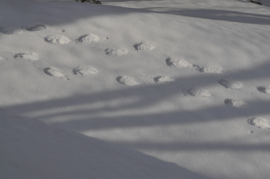 c0093046_19391020.gif