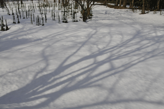 c0093046_19392437.gif