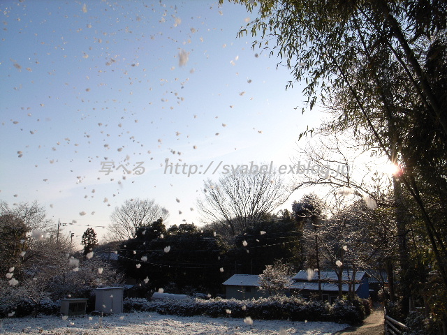 日の出の雪景色　ああ楽しかったお天気雪_c0153764_19112726.jpg
