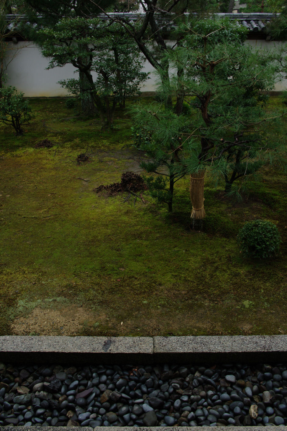 f0169170_17679.jpg