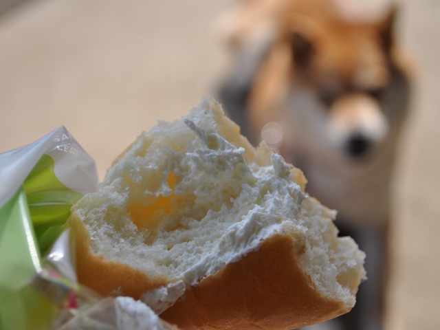 クンクン、チーして帰りましょ!_a0126590_22371529.jpg