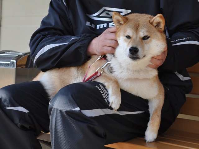 クンクン、チーして帰りましょ!_a0126590_22455173.jpg