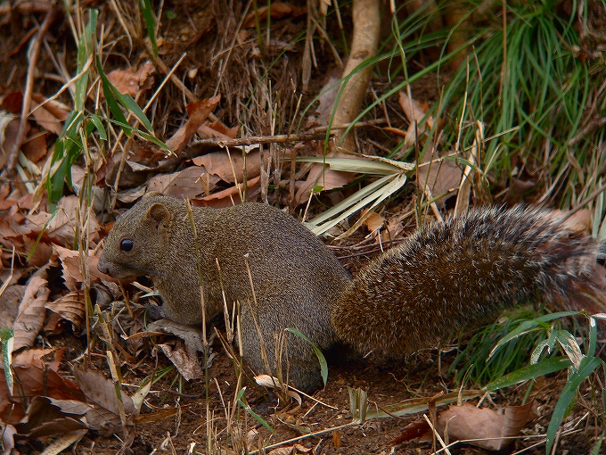 c0213690_3305417.jpg